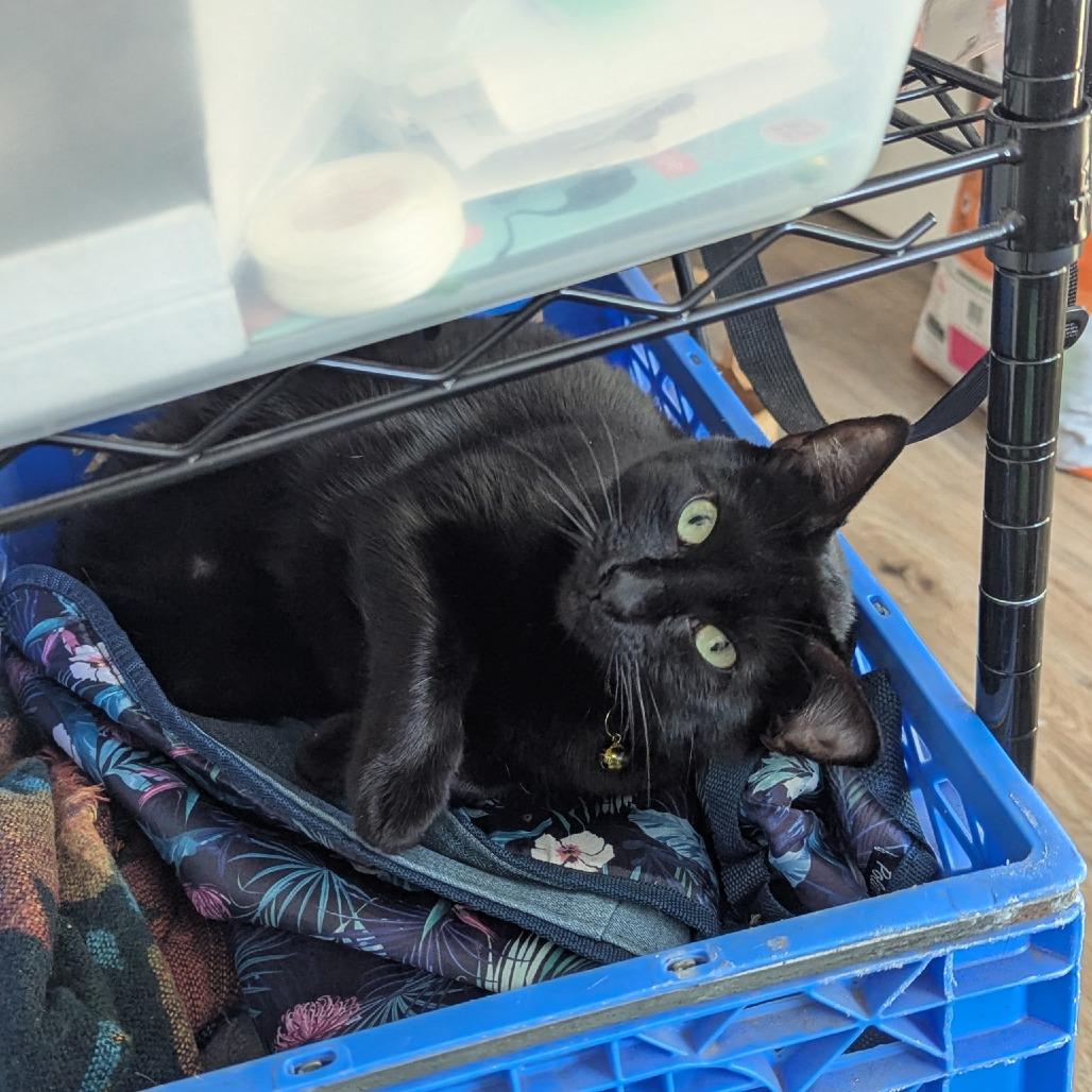 Proud Mary — thumbnail 2