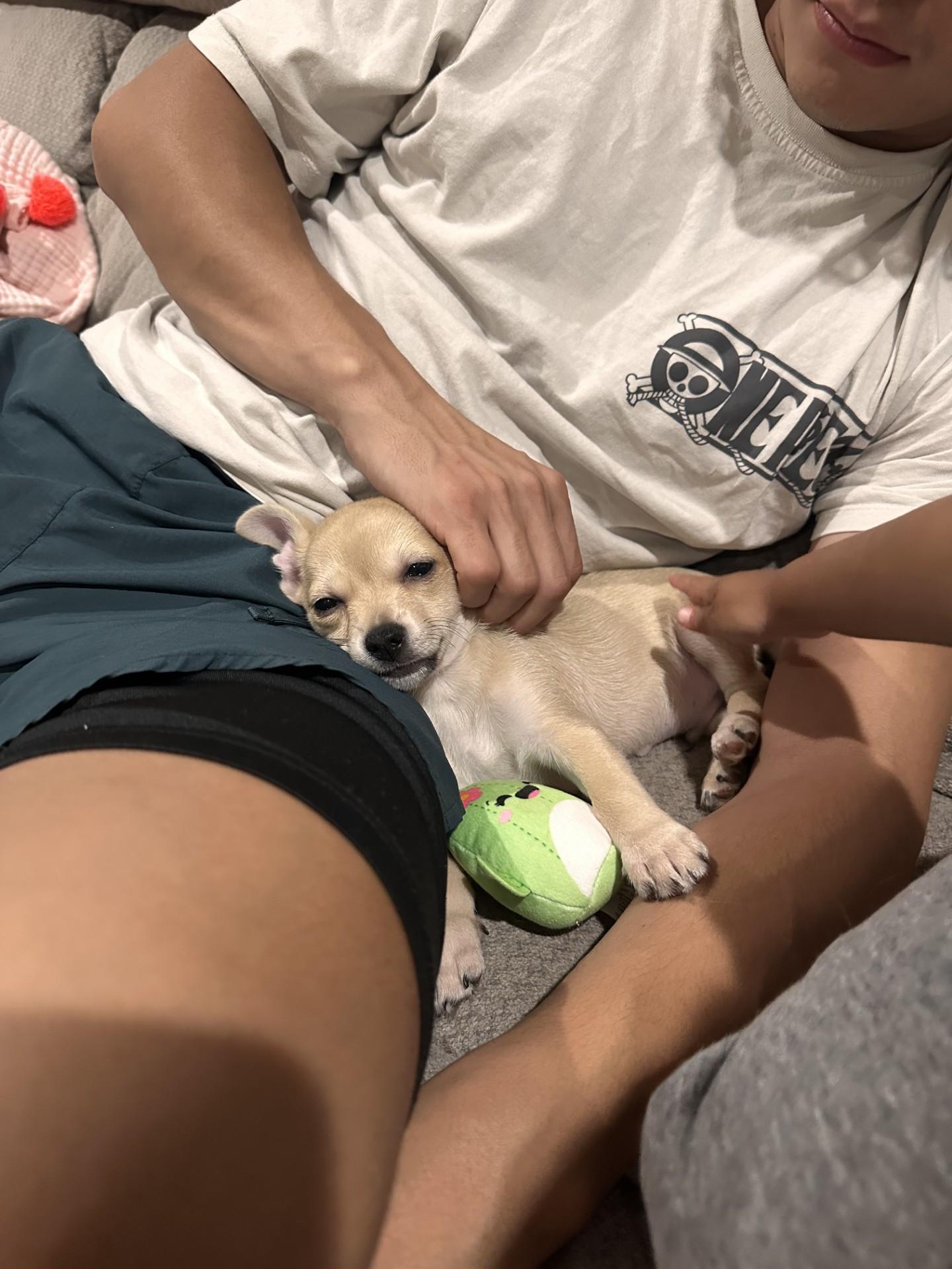 Dobby