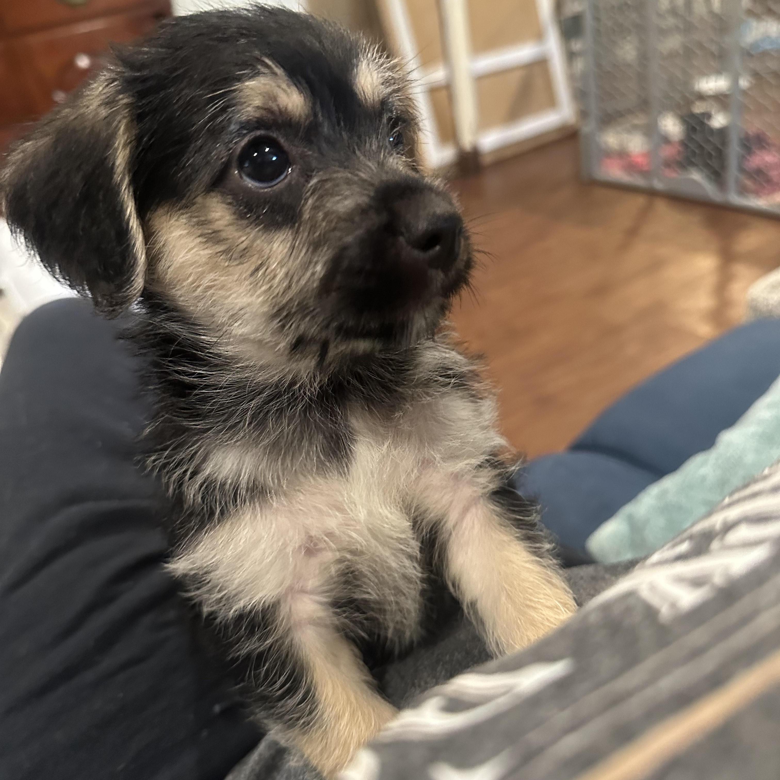 Ethel