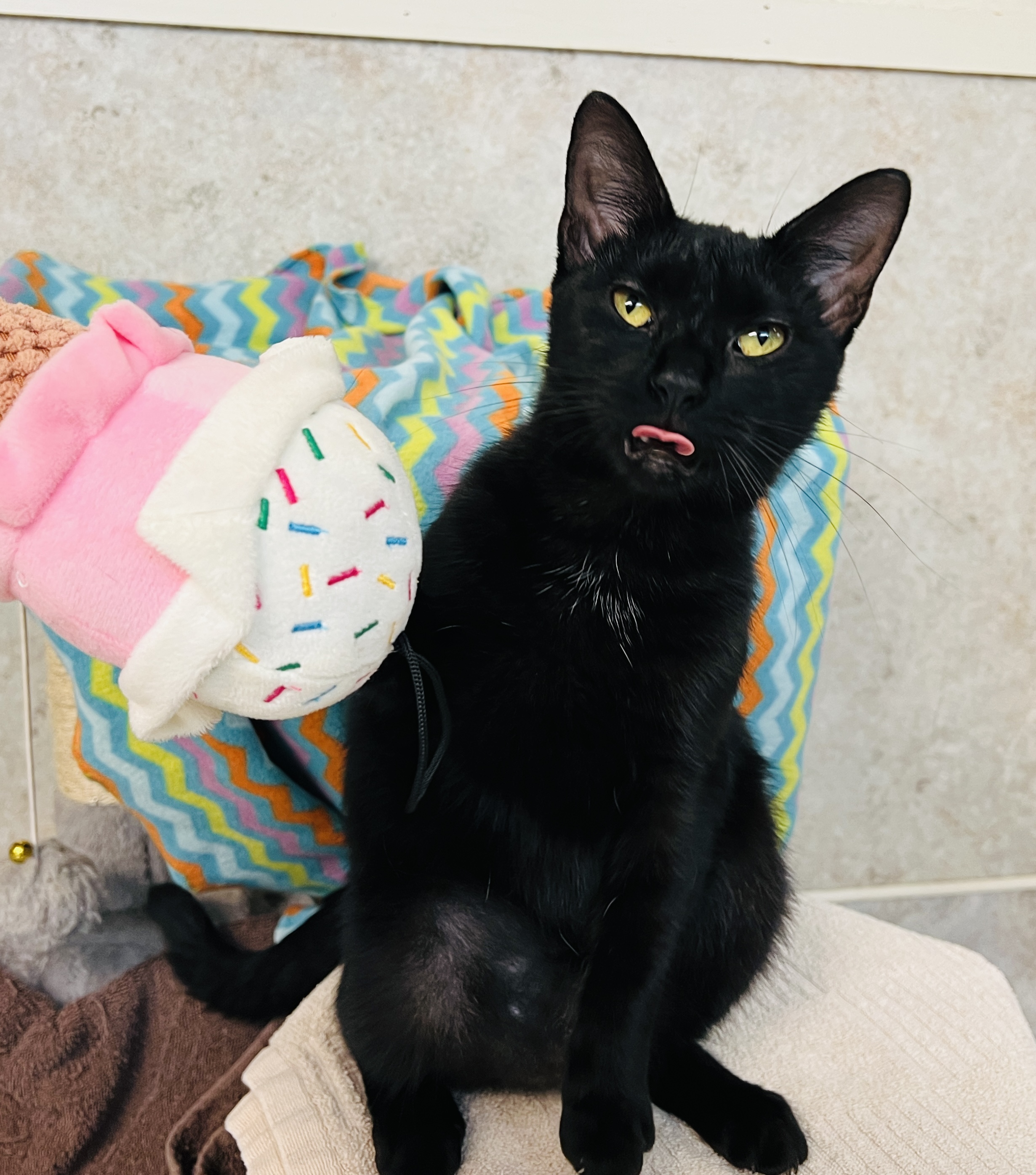 Isabelle — thumbnail 3