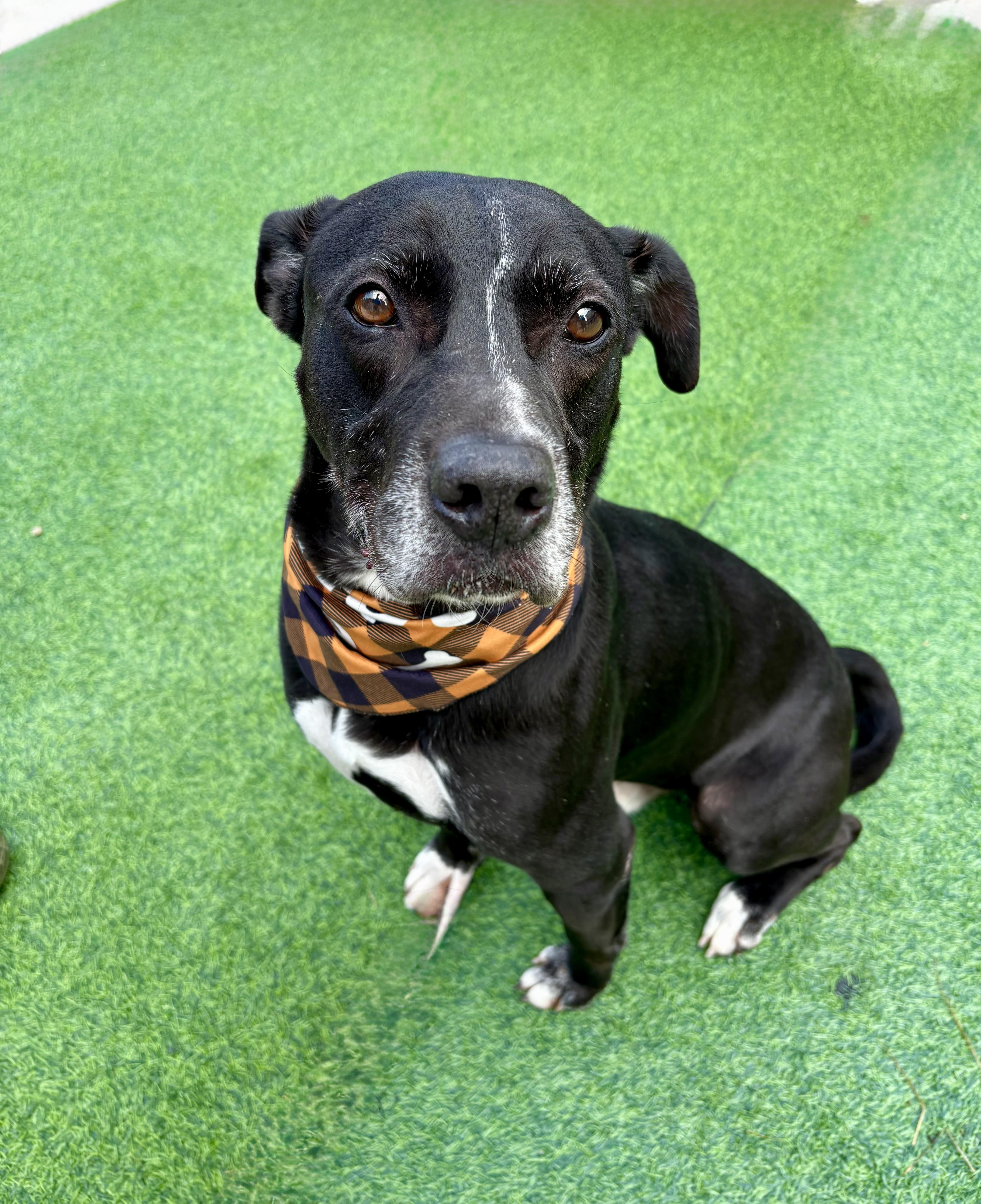 Colonel Sanders thumbnail 2