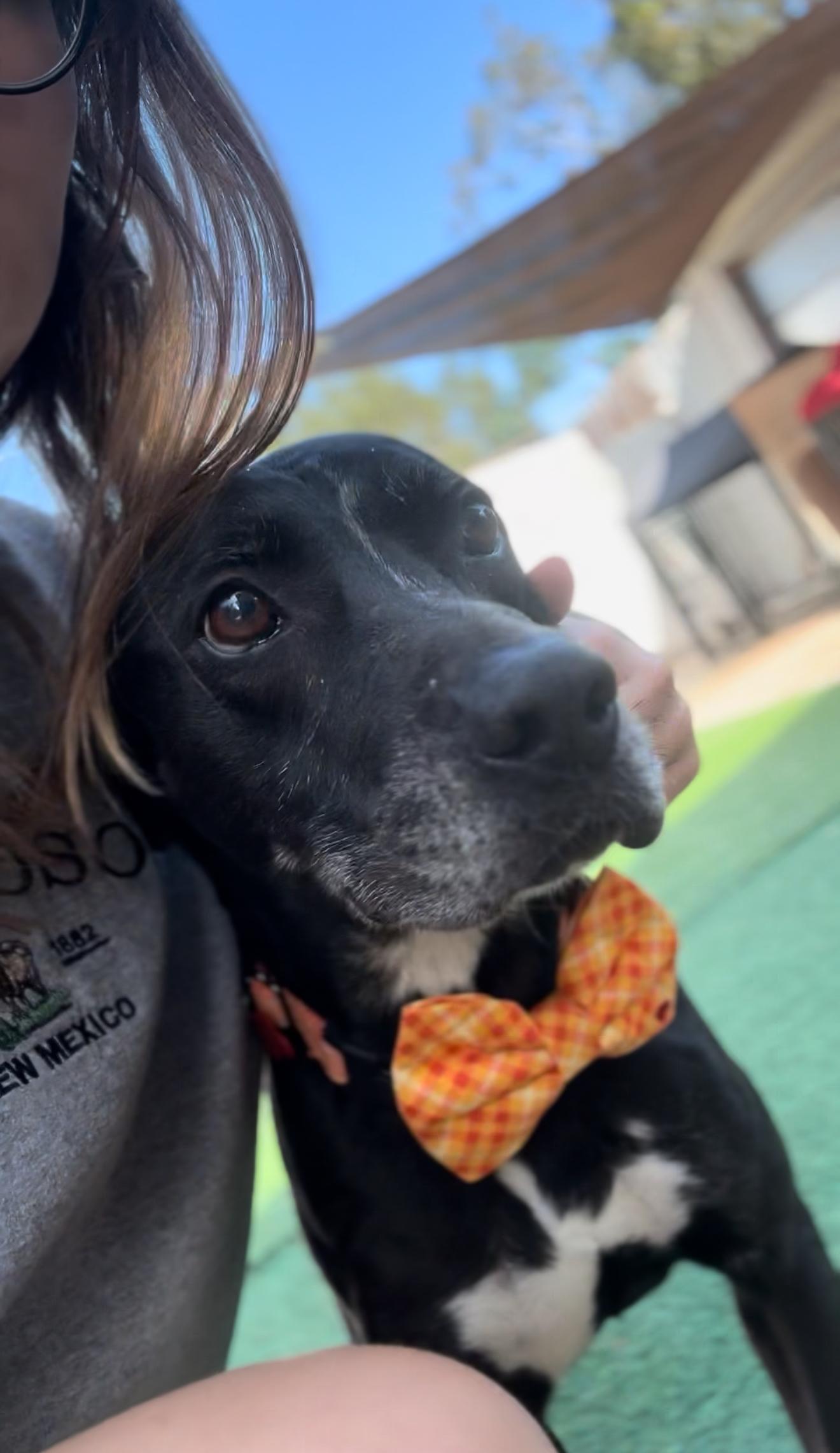 Colonel Sanders thumbnail 3