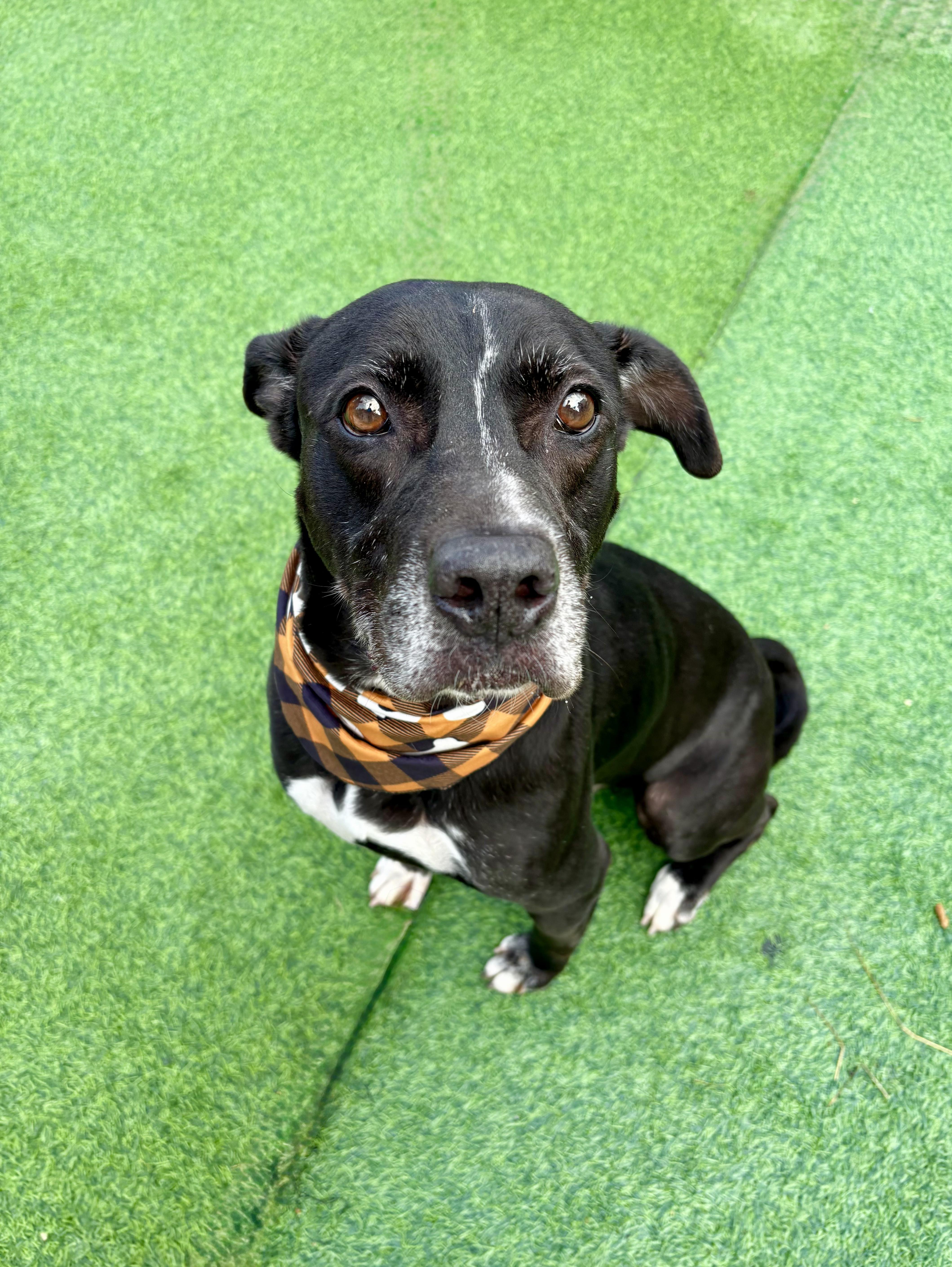 Colonel Sanders thumbnail 6