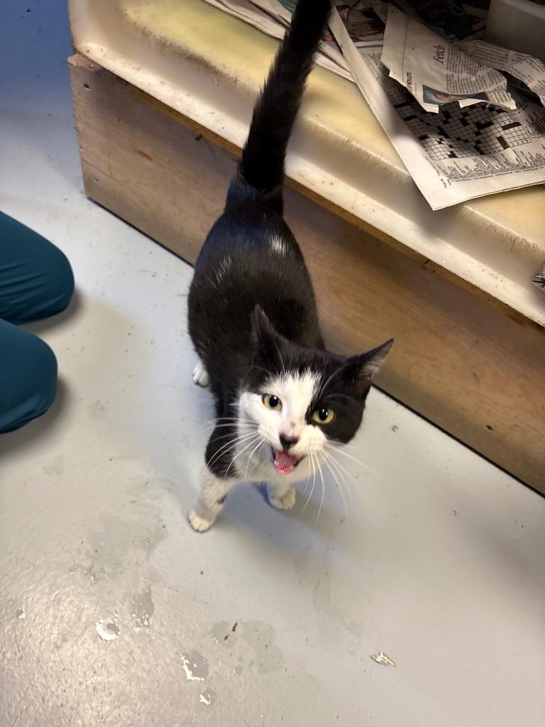 Minnie Mouse thumbnail 2