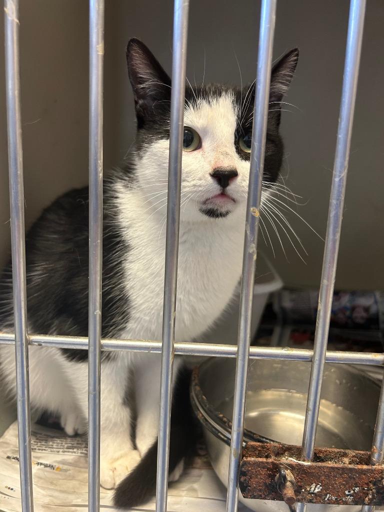 Minnie Mouse thumbnail 4