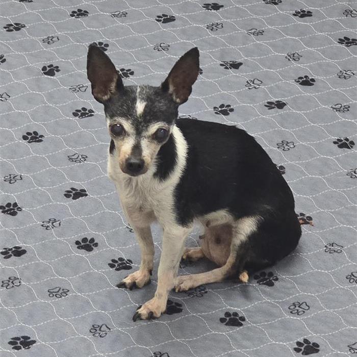 Lois — thumbnail 2