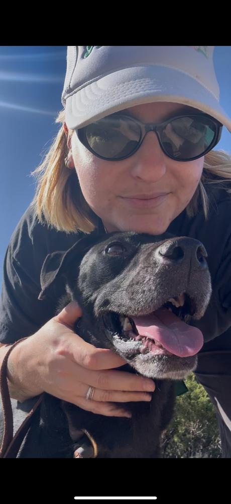 Enlarge Max, a Adoptable mixed breed in Pasadena, CA image 3/5