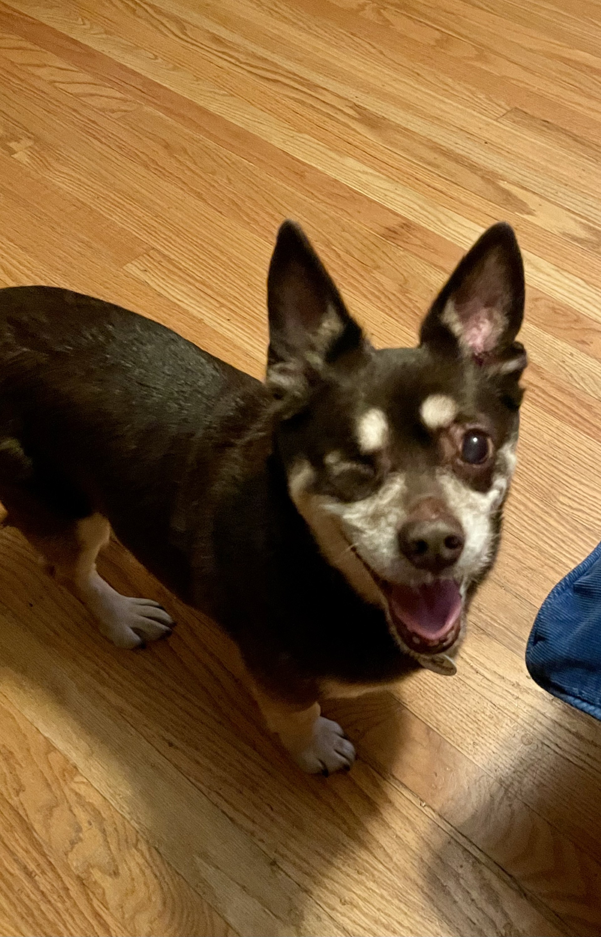 Enzo photo 3