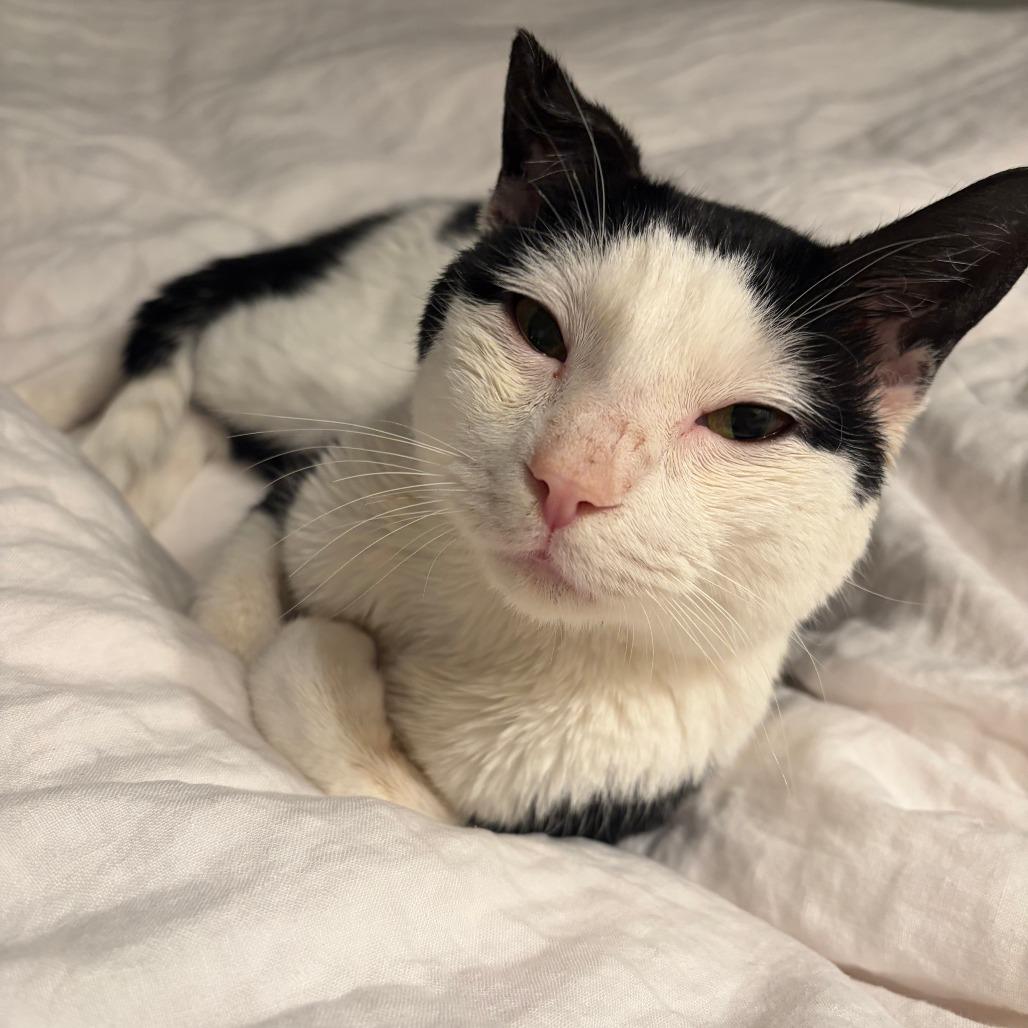 Dairy Queen — thumbnail 3