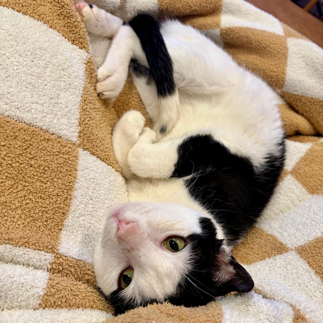 Dairy Queen — thumbnail 5