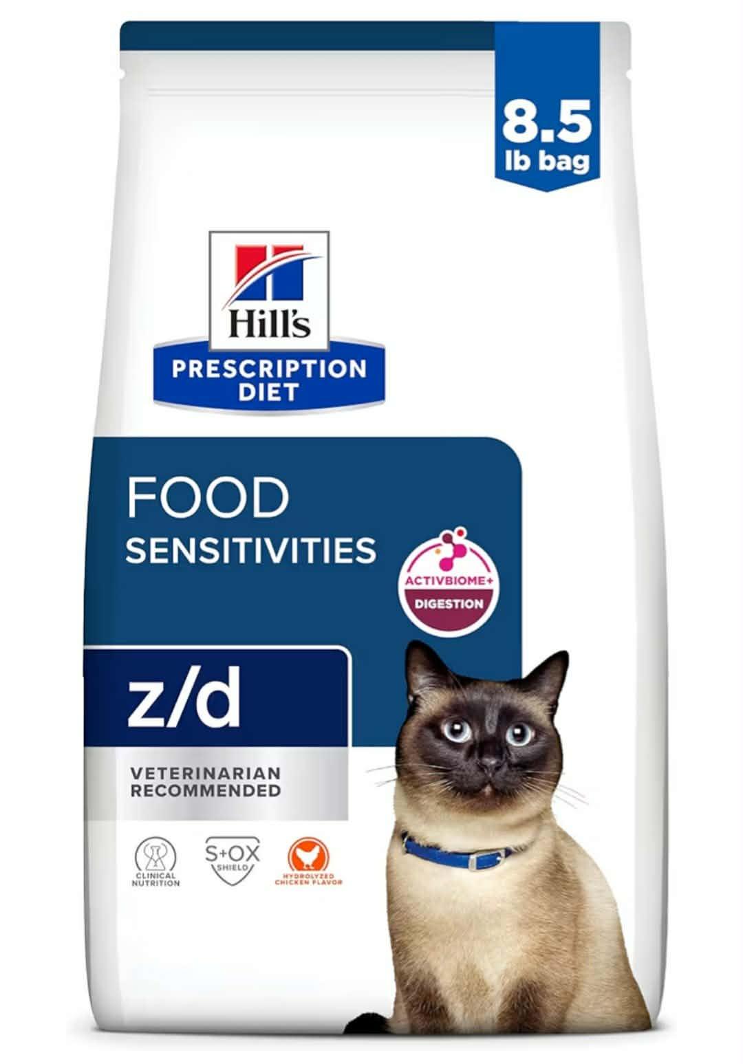 Enlarge Latte, a ADOPTABLE Domestic Short Hair in Chicopee, MA image 3/4