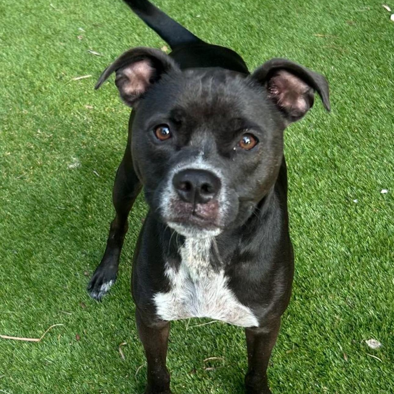 Esther photo 1