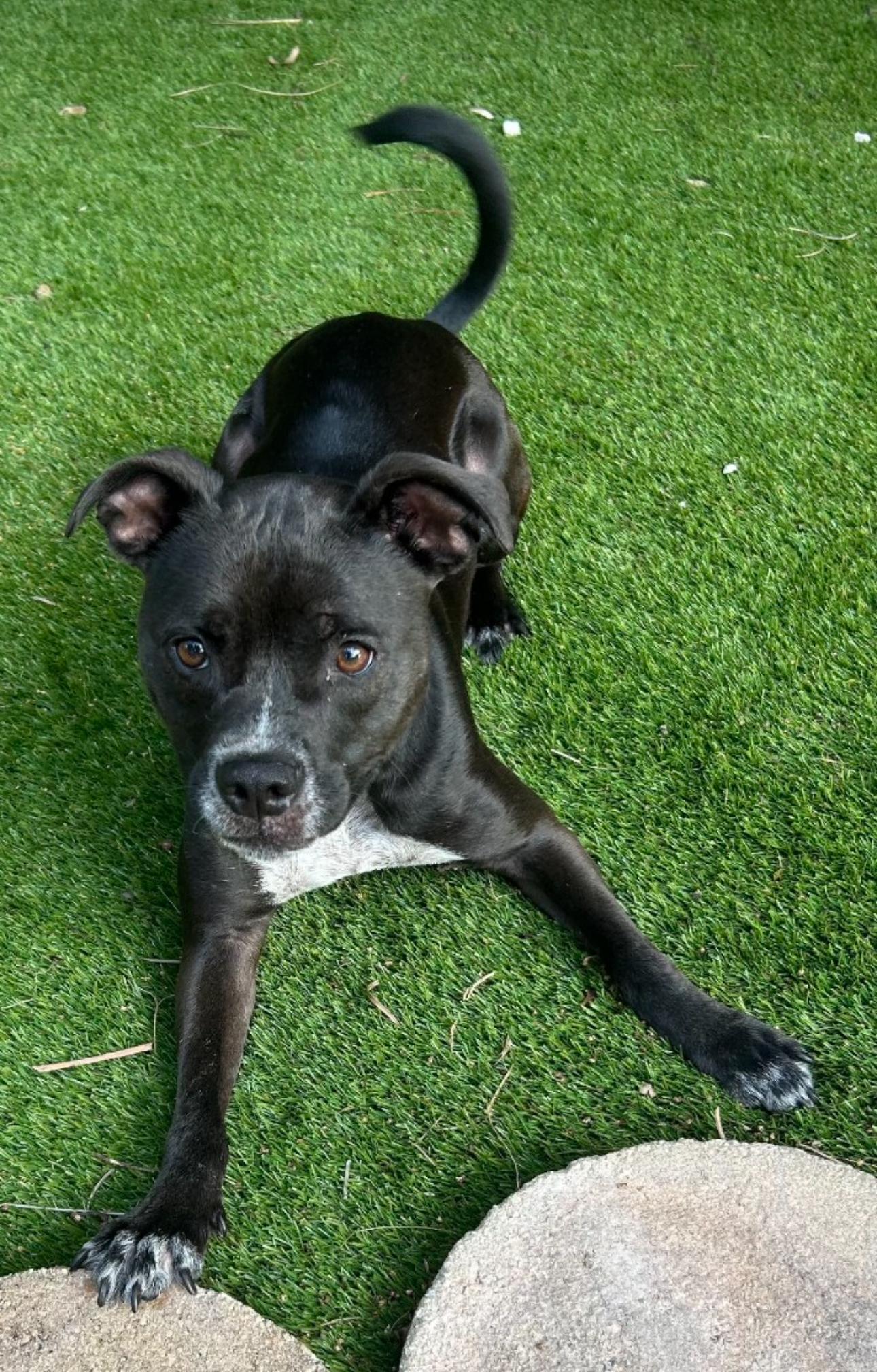 Esther photo 4