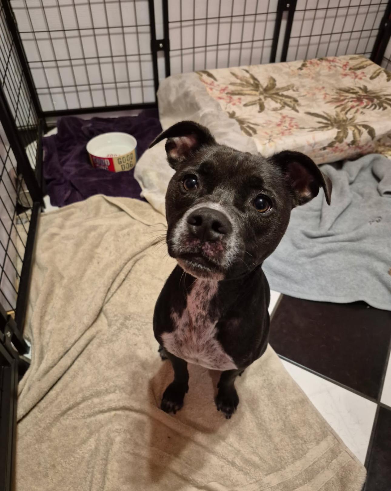 Esther photo 5