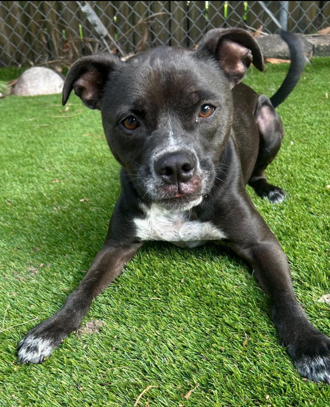 Esther photo 6