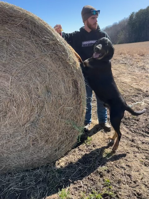Champ photo 2