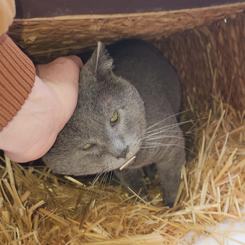 Found 20th Ave SE Rochester (Shadow)