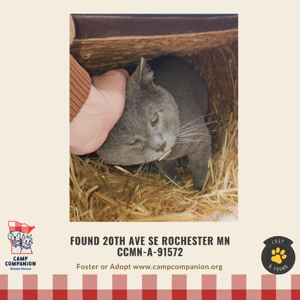 Found 20th Ave SE Rochester (Shadow) — thumbnail 2