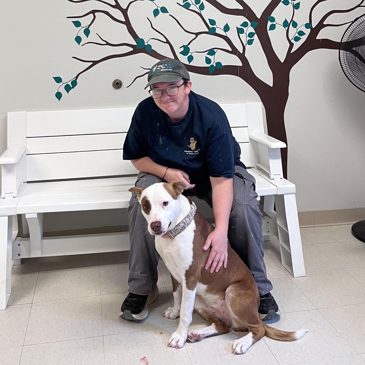 Daffodil, an adopted mixed breed in West Jefferson, OH image 3/4