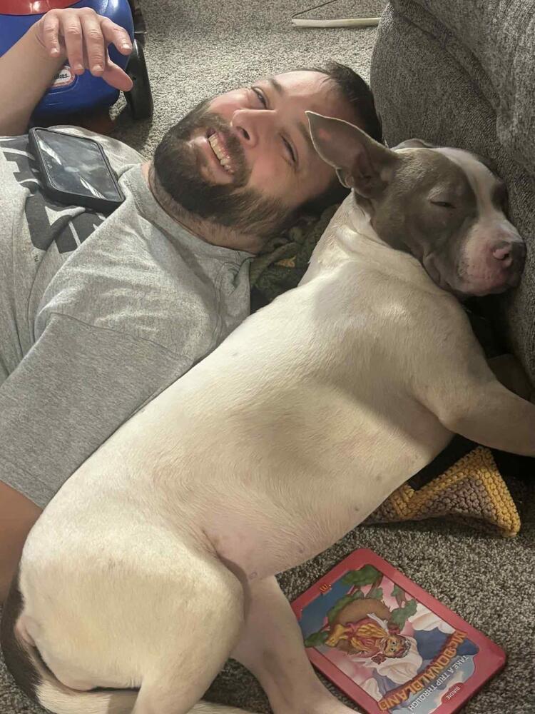 Enlarge Presley, a Adoptable Terrier in Grove City, OH image 6/6