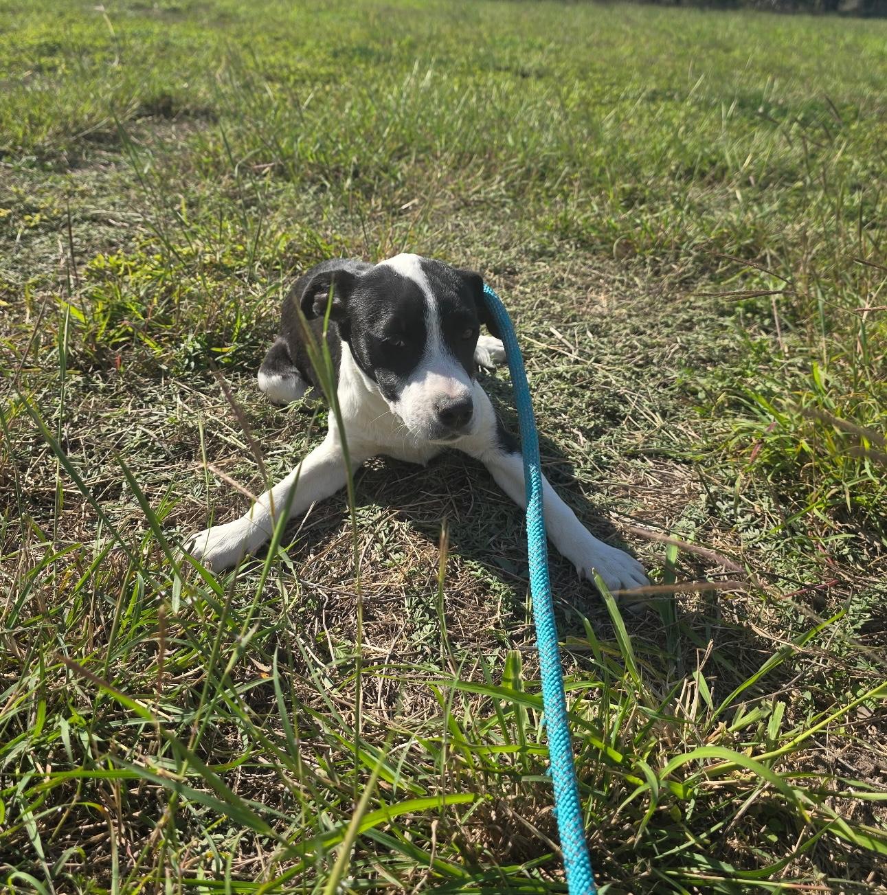 Juliette — thumbnail 3