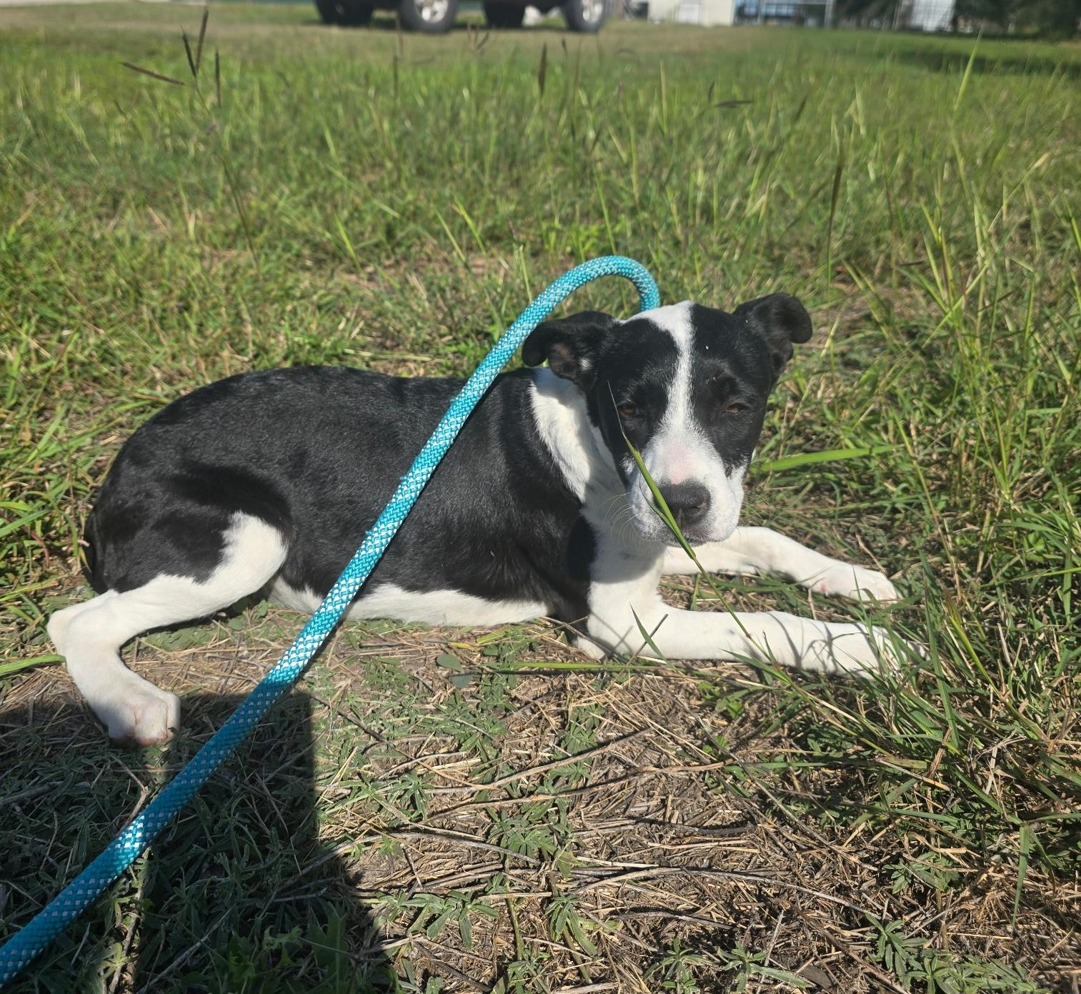 Juliette — thumbnail 4