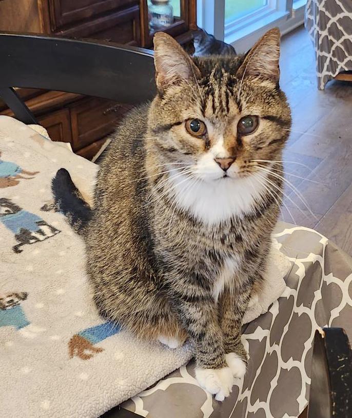 Earl (Courtesy Post)