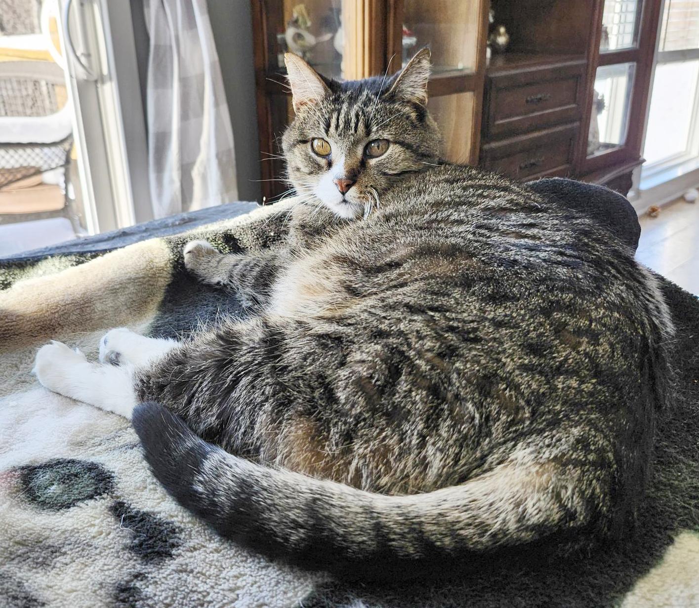 Earl (Courtesy Post)