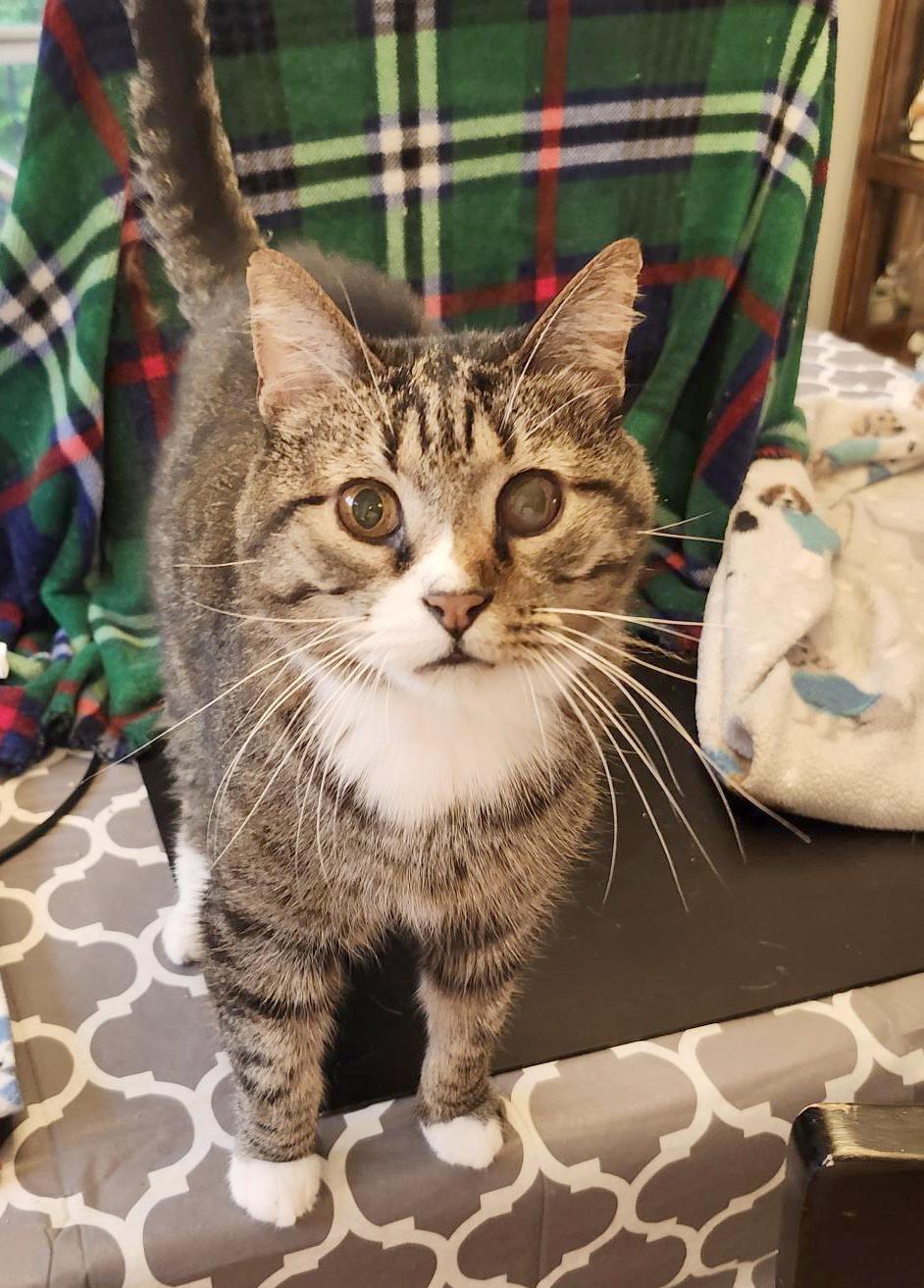 Earl (Courtesy Post)
