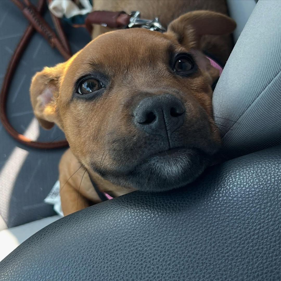 Ruby