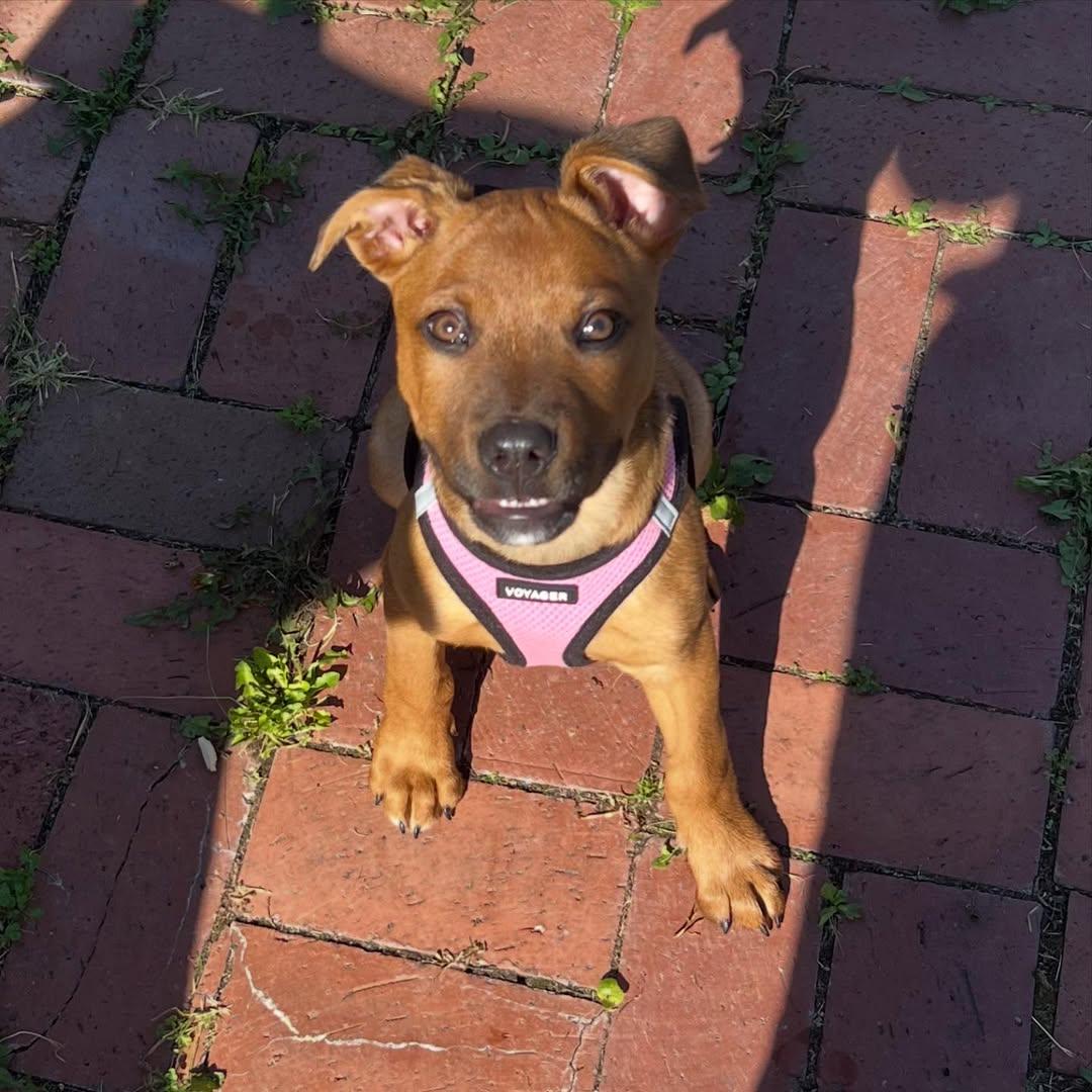 Ruby