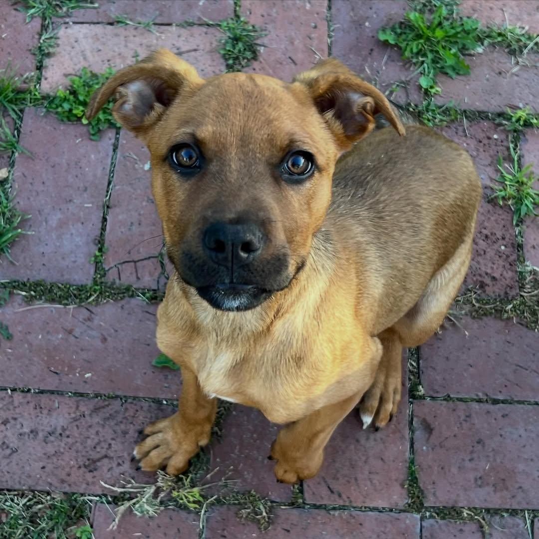 Ruby
