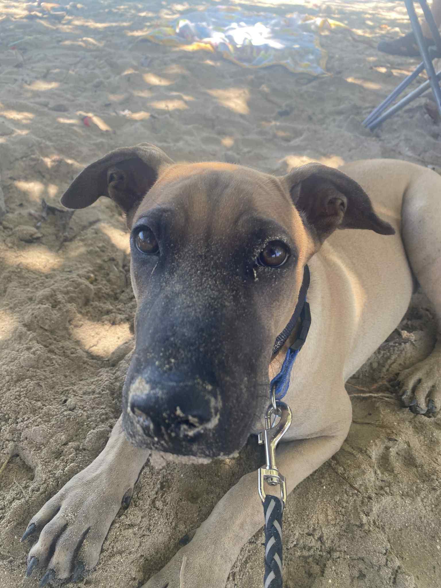 Milo