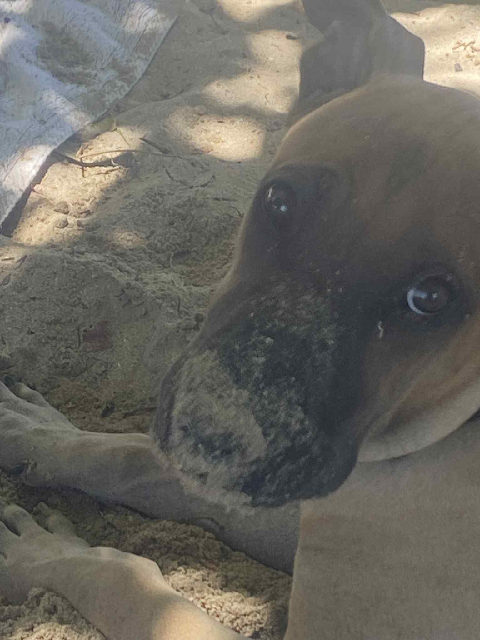 Milo