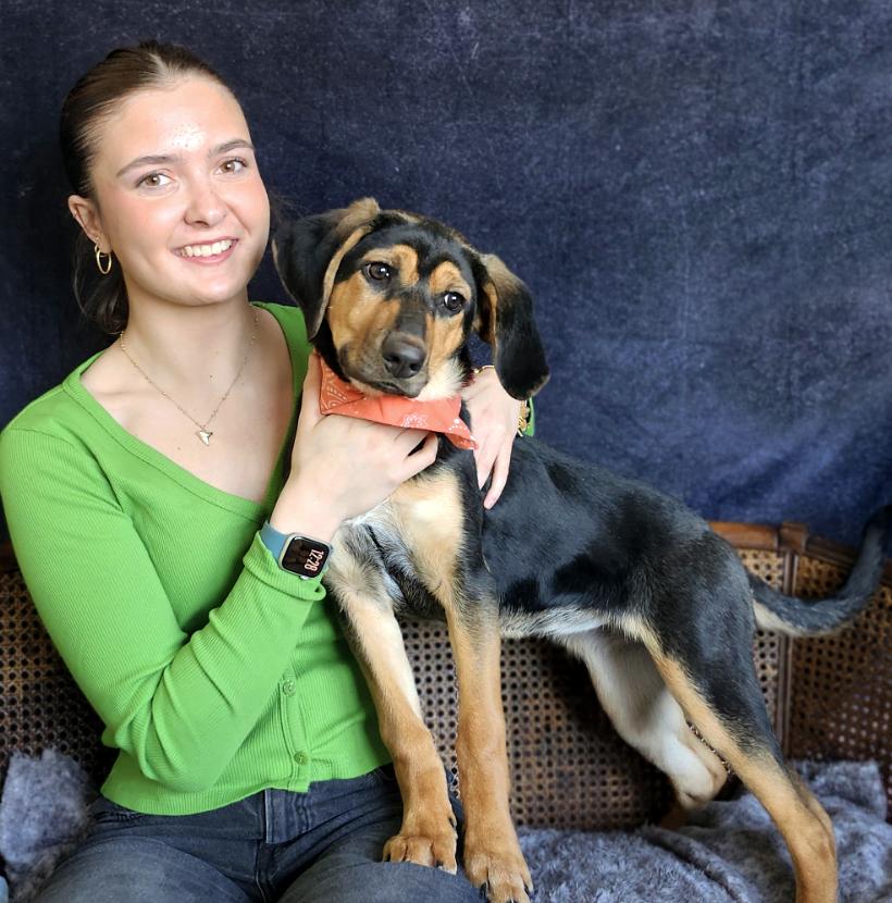 Enlarge Yanna, an adopted mixed breed in Cheboygan, MI image 6/6