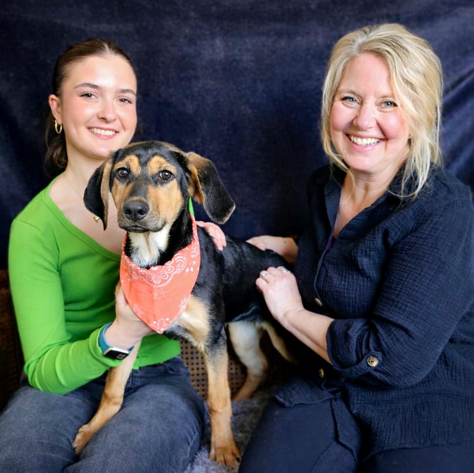 Enlarge Yanna, an adopted mixed breed in Cheboygan, MI image 4/6