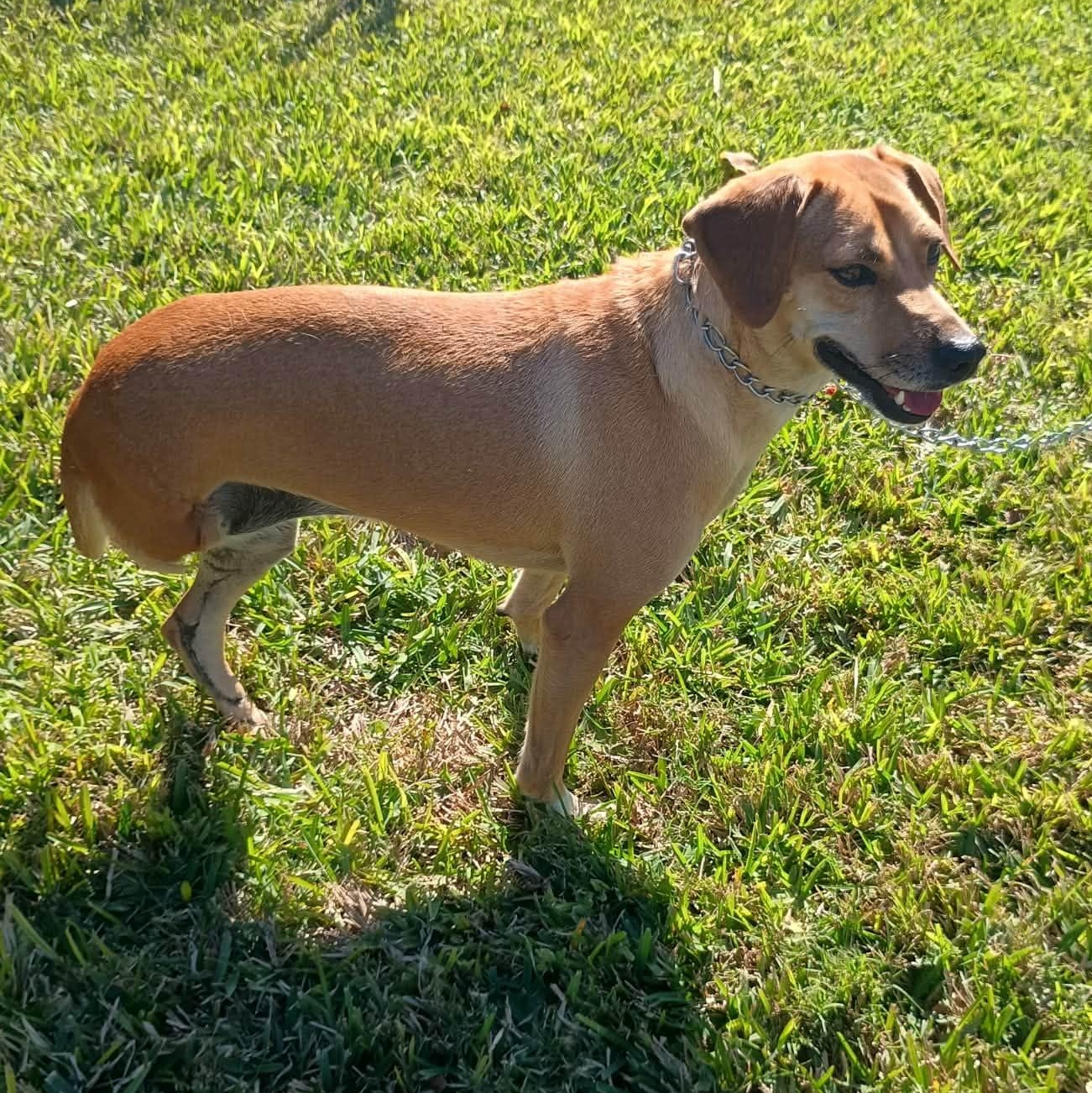 Fanny the Tripod — thumbnail 2