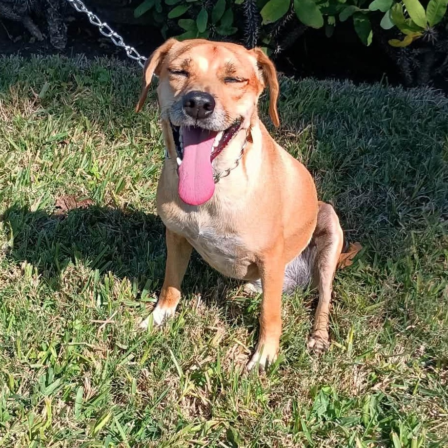 Fanny the Tripod — thumbnail 4