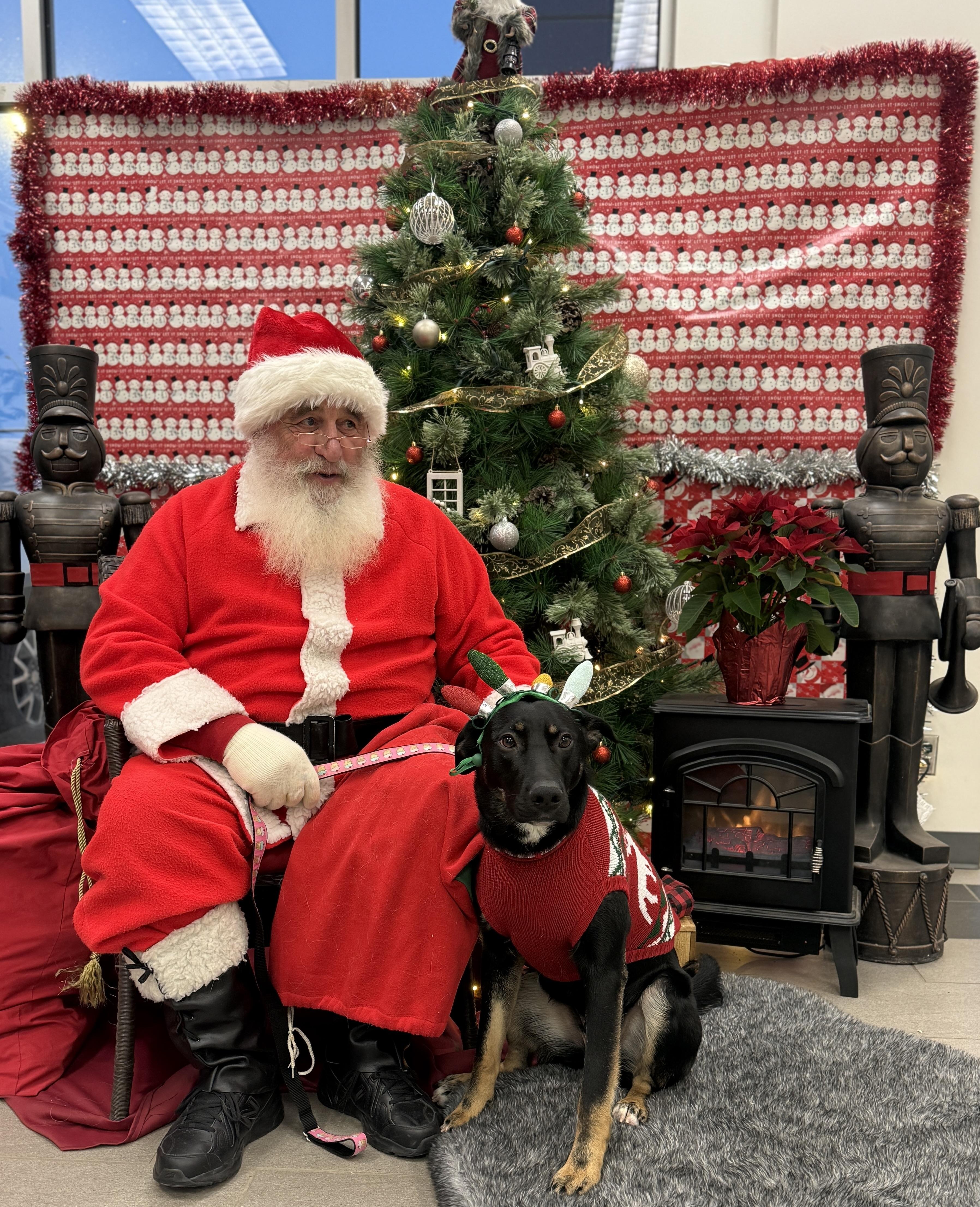 Enlarge Minnie  , an adoptable mixed breed in Meadow Lake, SK image 2/6