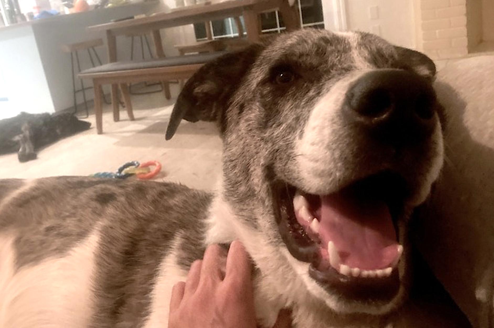 Meep — thumbnail 3