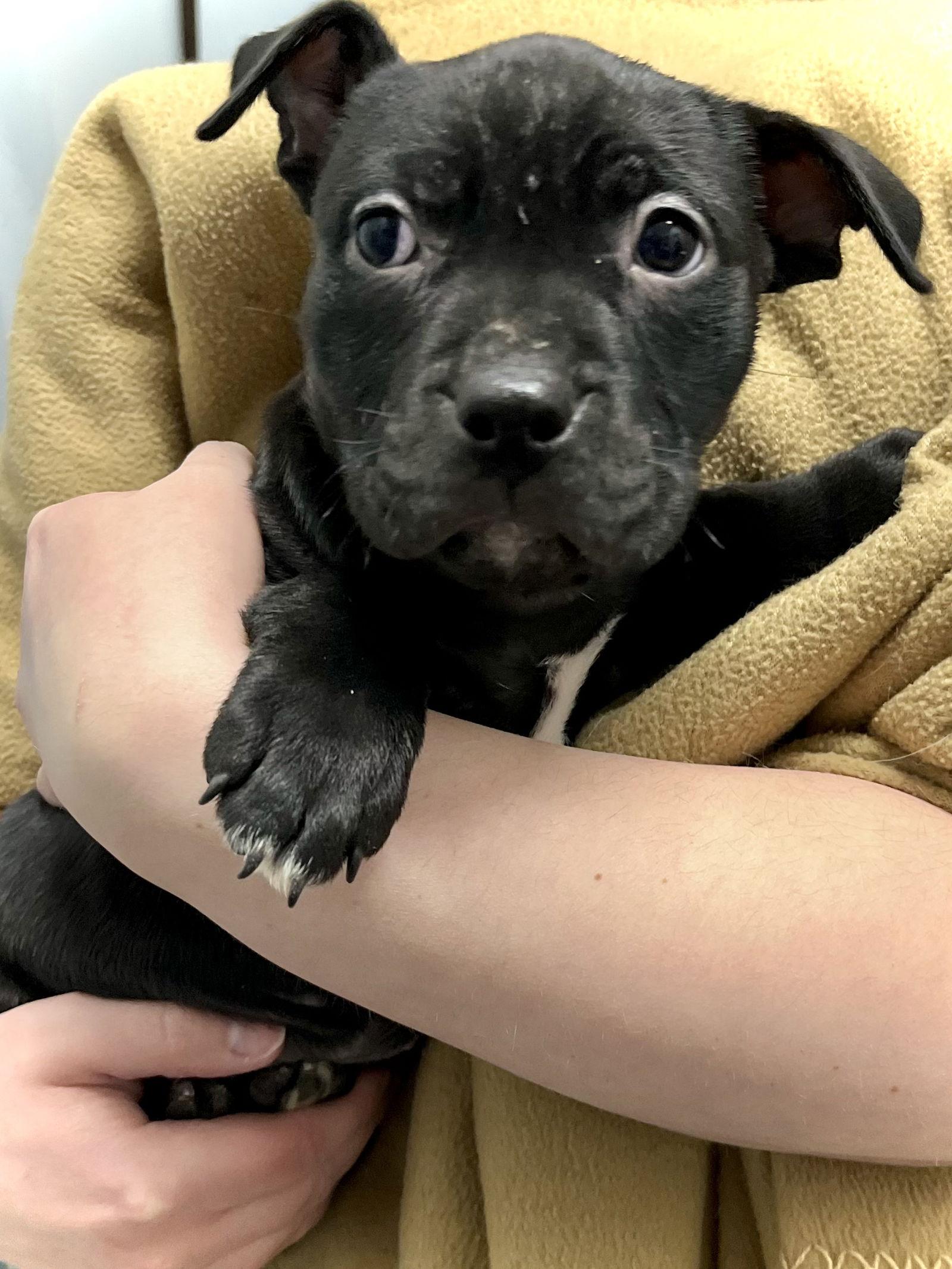 Sprout — thumbnail 2