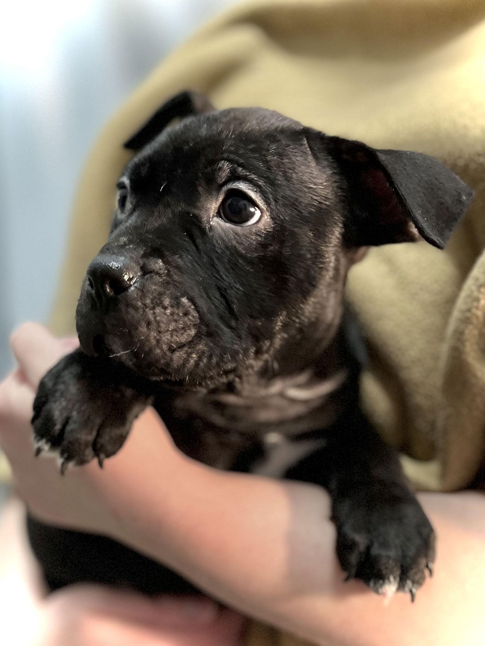 Sprout — thumbnail 3