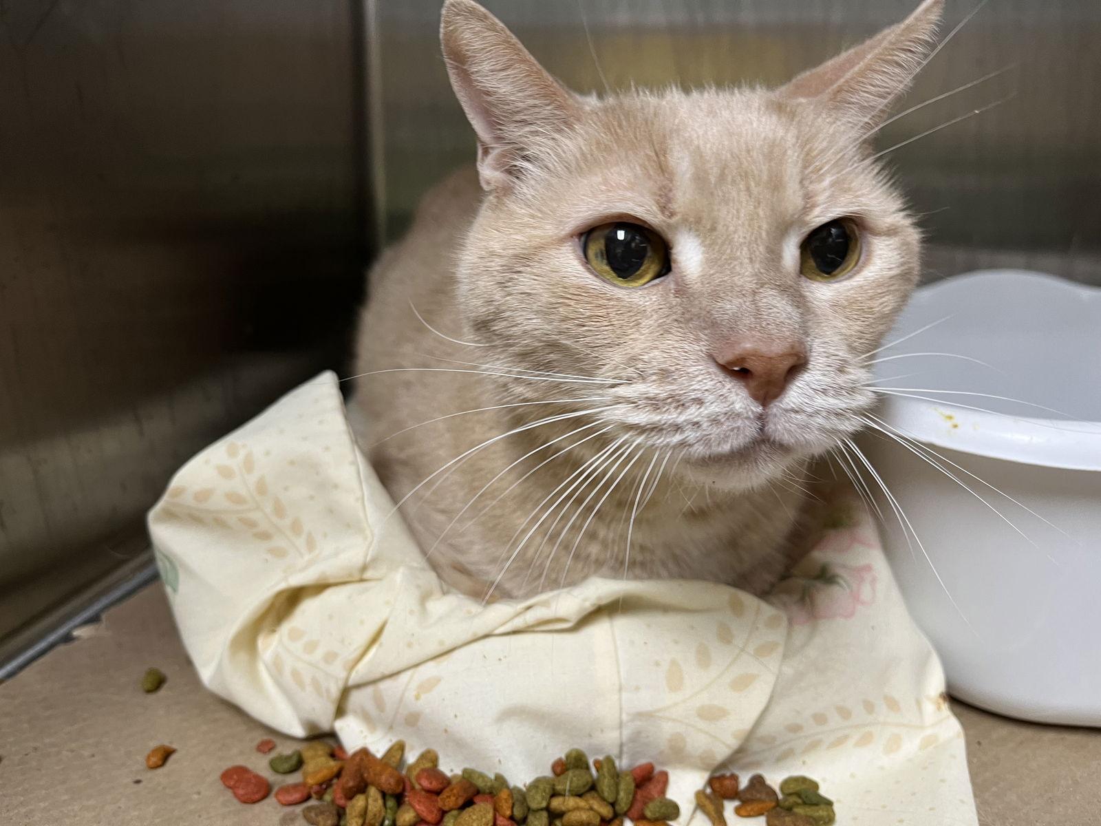 Nate-Nate — thumbnail 5