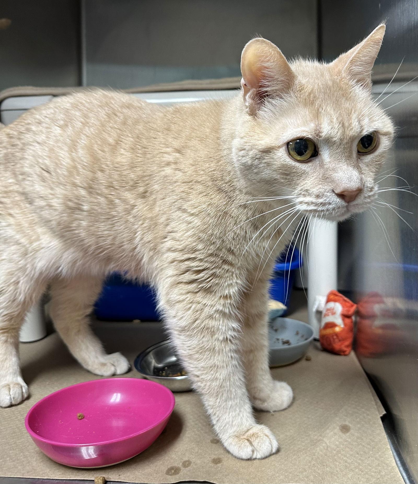 Nate-Nate — thumbnail 7