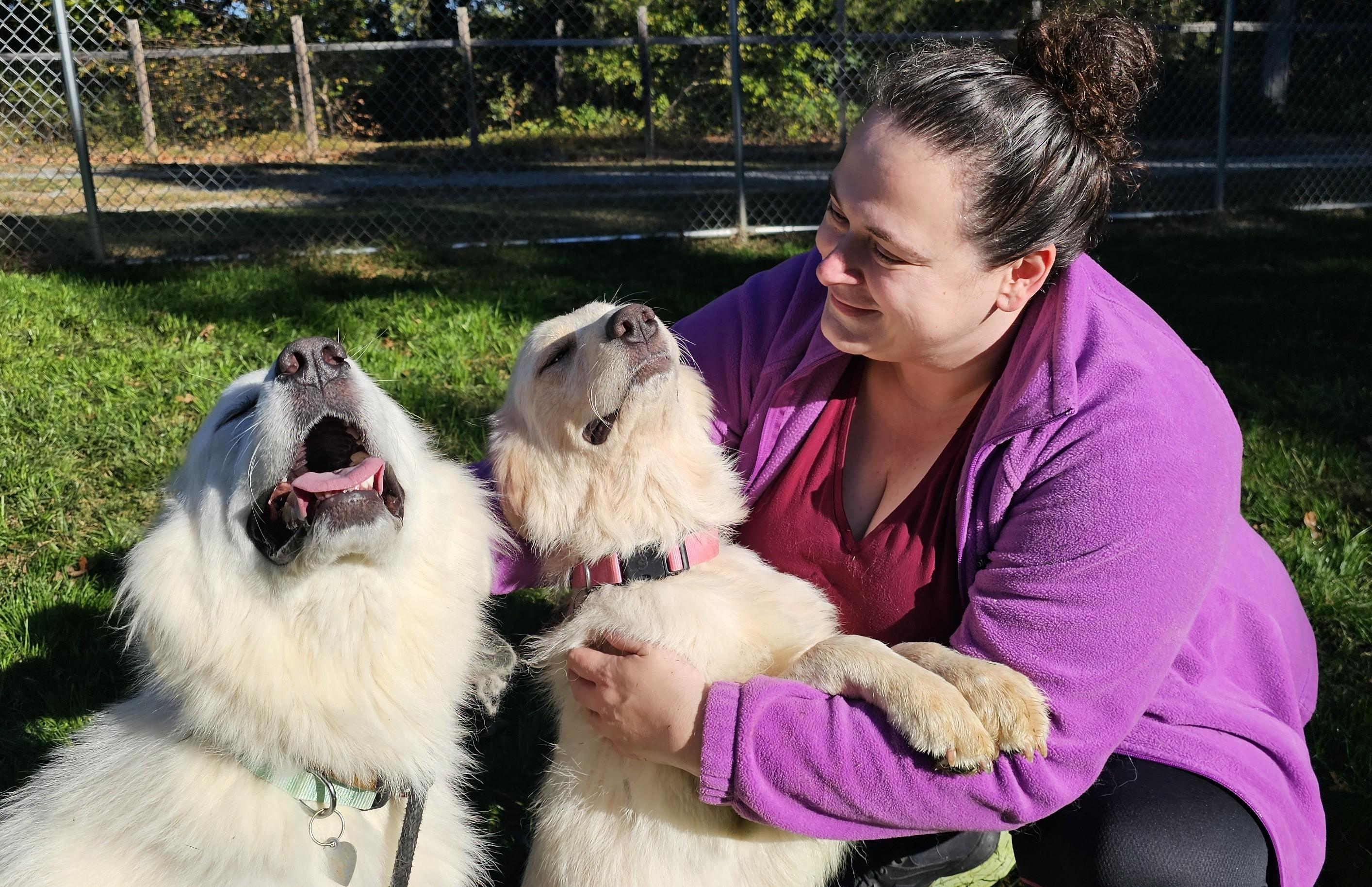 Enlarge Carmela and Meadow, a Adoptable mixed breed in Marshville, NC image 3/5