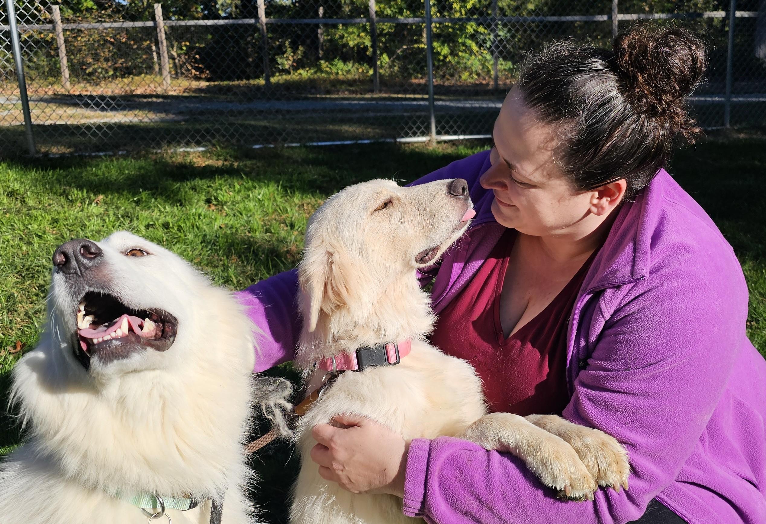 Enlarge Carmela and Meadow, a Adoptable mixed breed in Marshville, NC image 4/5