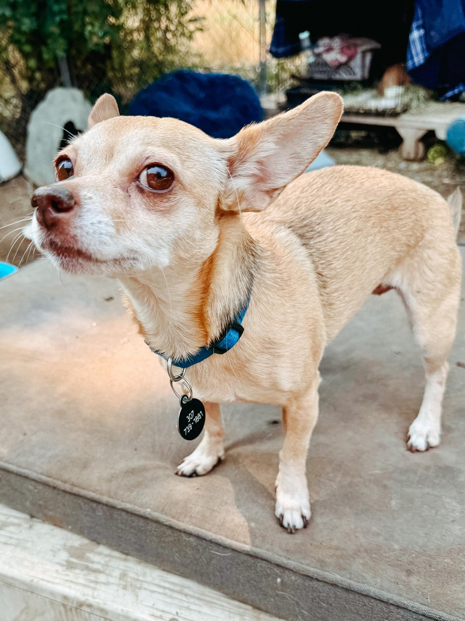 Charlie