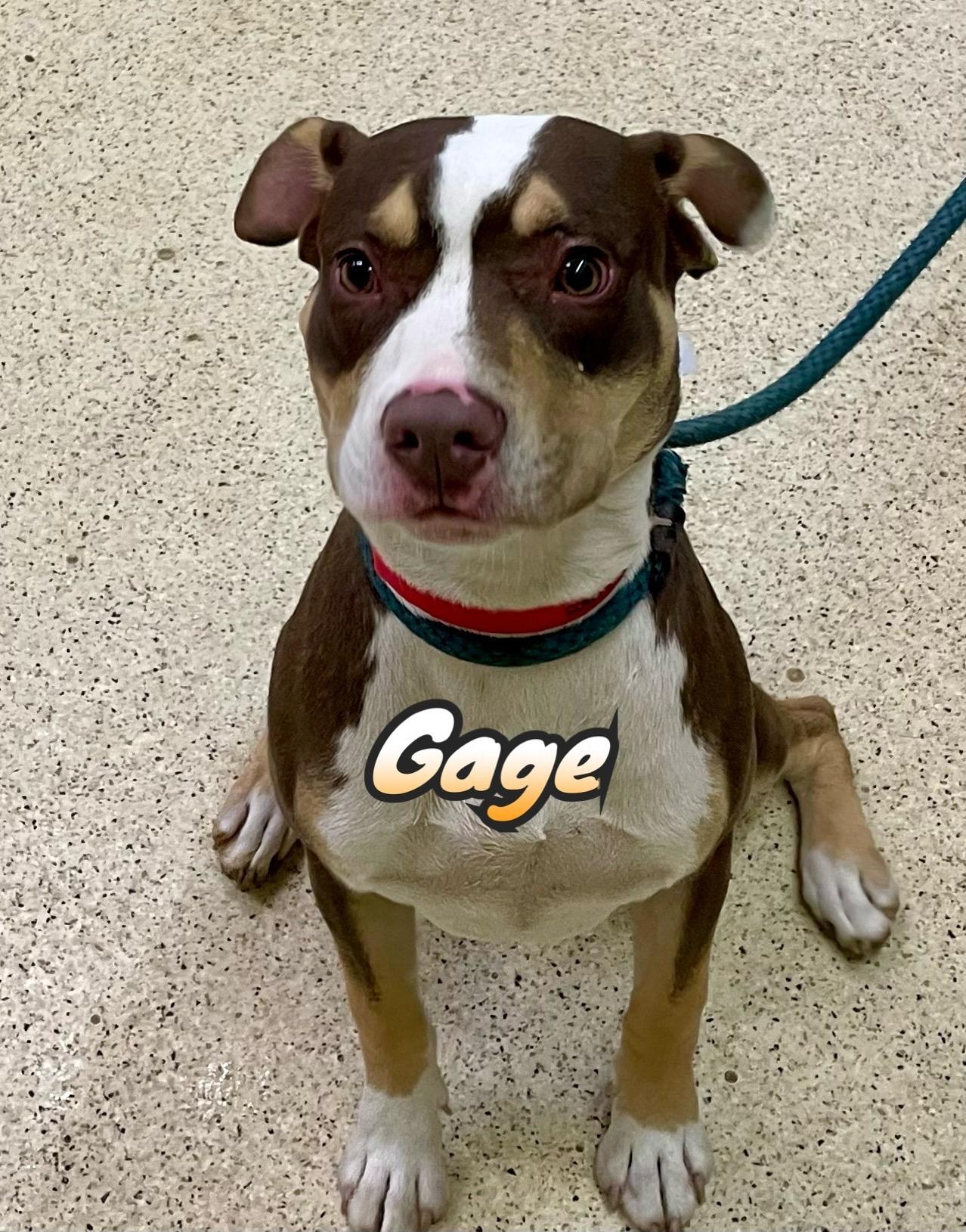 Gage