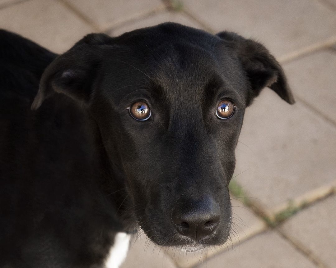 Jack photo 2