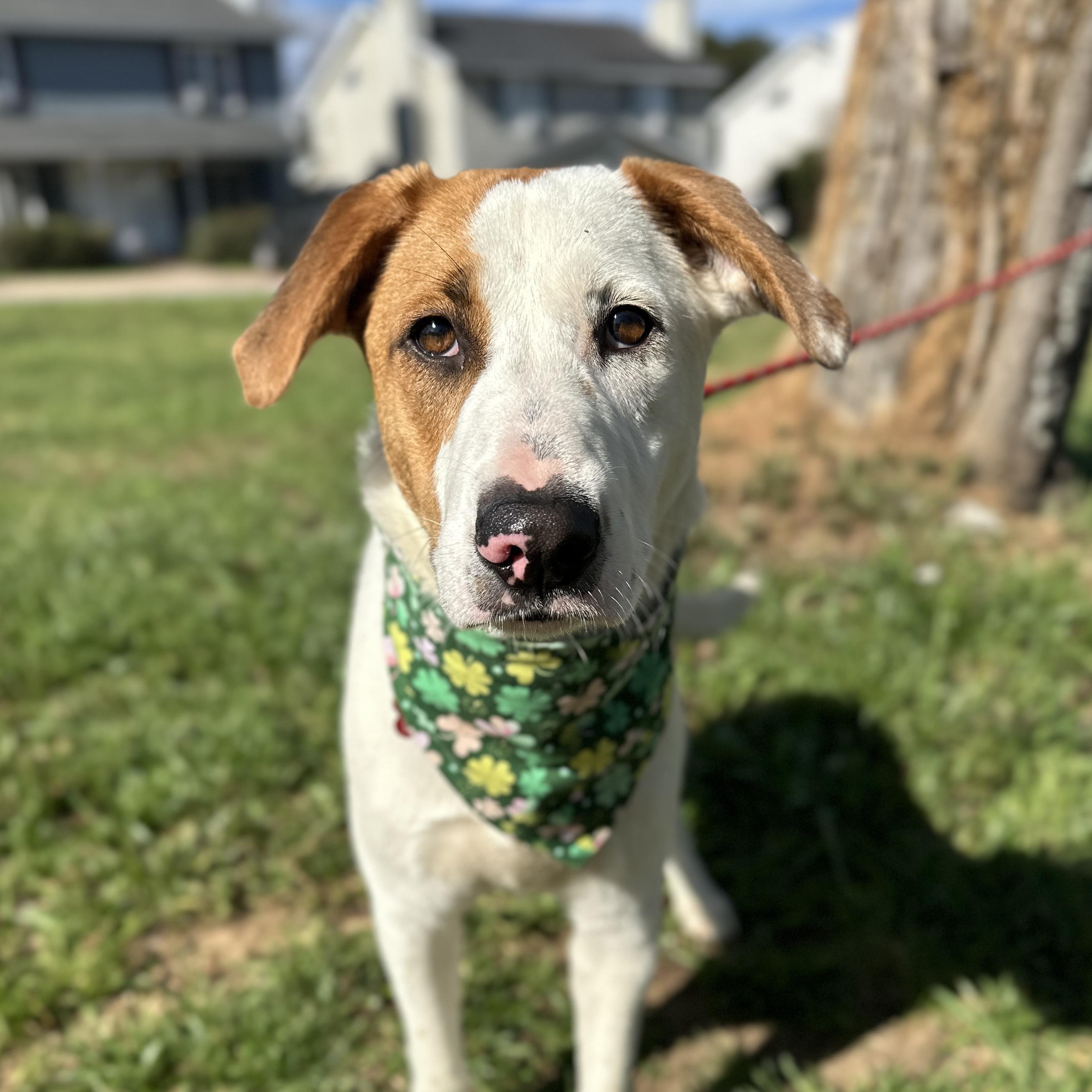 Caroline — thumbnail 2